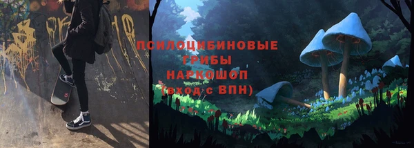 индика Горнозаводск