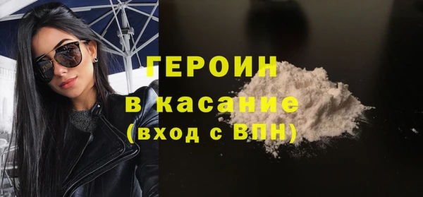 индика Горнозаводск