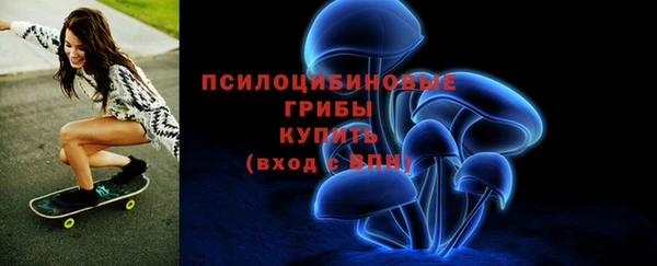 PSILOCYBIN Горняк