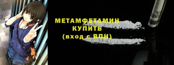 индика Горнозаводск