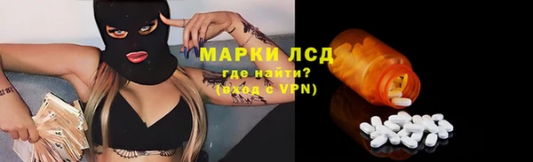 PSILOCYBIN Горняк