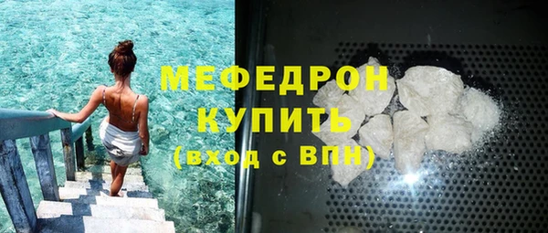 индика Горнозаводск