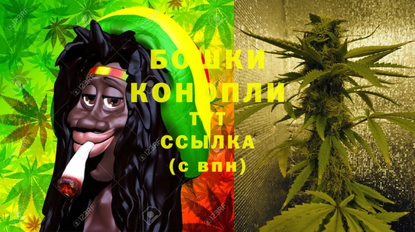 PSILOCYBIN Горняк