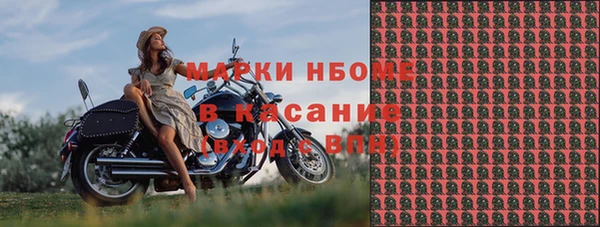 индика Горнозаводск