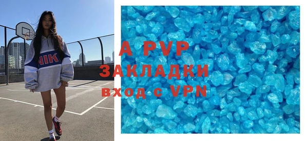 индика Горнозаводск