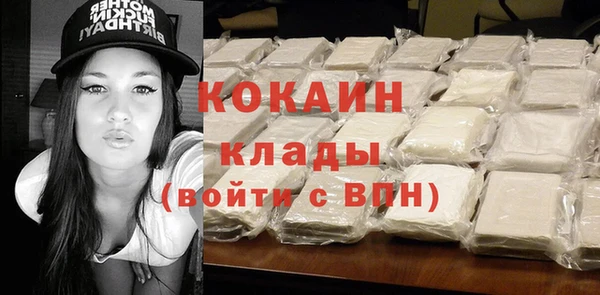 PSILOCYBIN Горняк