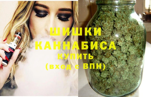 PSILOCYBIN Горняк