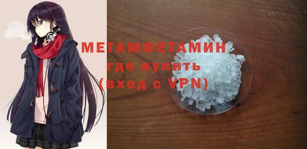 индика Горнозаводск